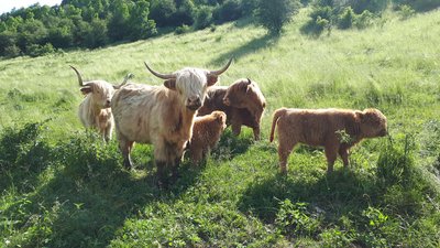 Les highland du Pré Gaillard