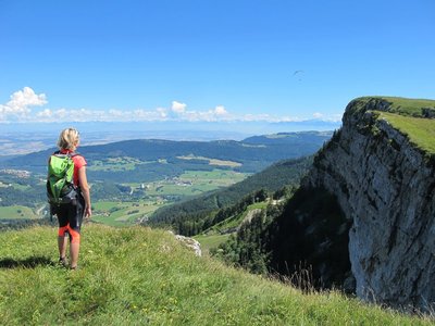 Mont d'Or