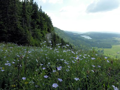 Point de vue depuis Roche Champion