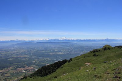 Point de vue du crêt de la goutte sur les Alpes 