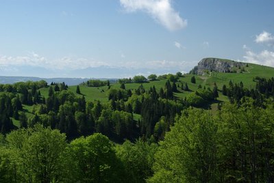 Mont d'Or