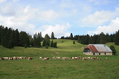 Chalet des bâties