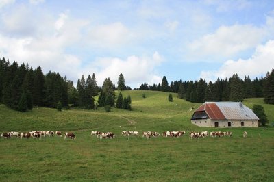 Chalet les Baties