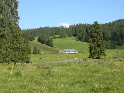 Combe de la bâtie