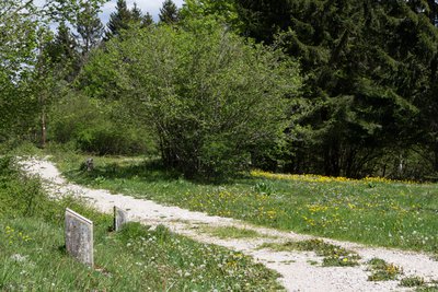 Sentier botanique du Bayard