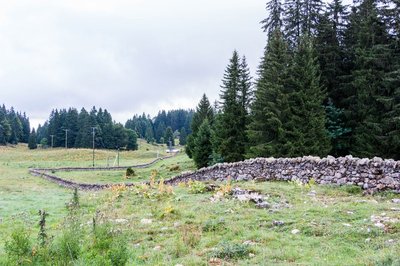 Vallée des Dappes