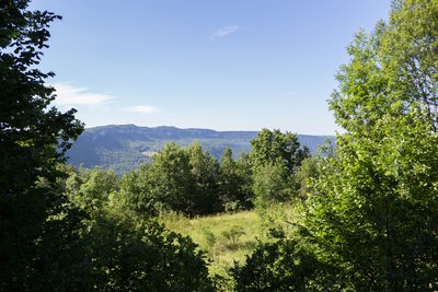 Point de vue de la Bataille