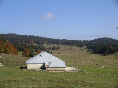 Chalet de la pièce d'Aval au pied de la forêt du Massacre