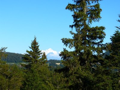 Point de vue du crêt de la Vigoureuse