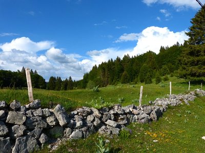 Les murets en pierres sèches