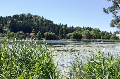 Le lac de Chanon