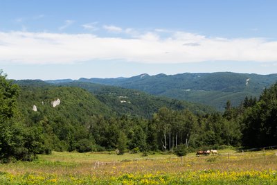 Vue depuis Grand-Serve