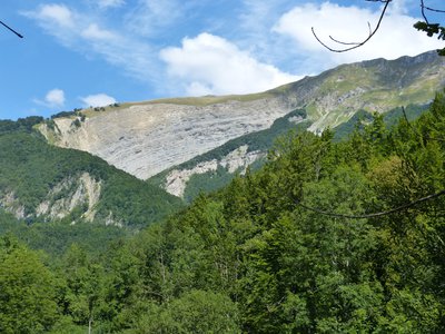 Roche Franche