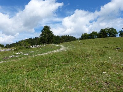 Route Royale, Route du sel