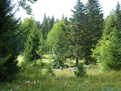 Le crû est à croître en héritage
