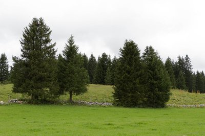 Une agriculture qui marque le paysage