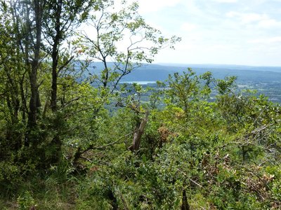 Point de vue sur la vallée de l'Ain