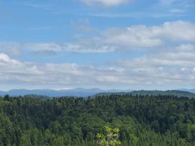 Point de vue sur la Haute-Chaîne du Jura