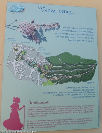 La Sarsouille