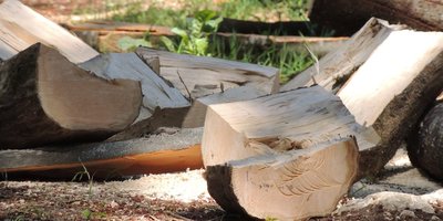 Le bois et la tourbe