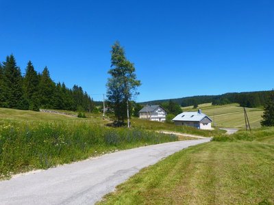 L'herbe créatrice de richesse