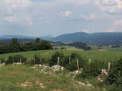 Vue sur le Mont d'Or