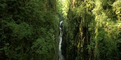 Les gorges de la Langouette
