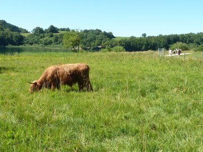 Un site naturel géré