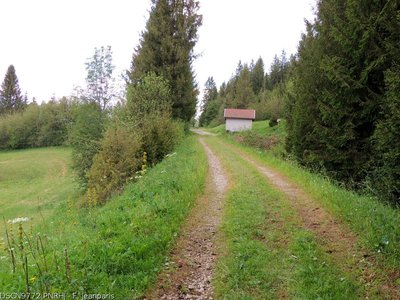 Voie du tram