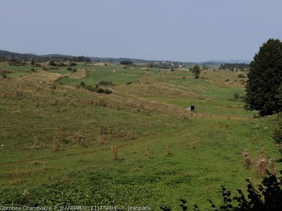 Les prairies sèches