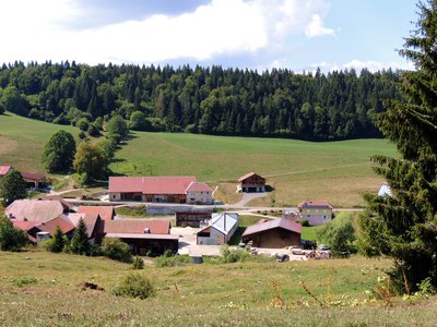 Scierie de Boujeons