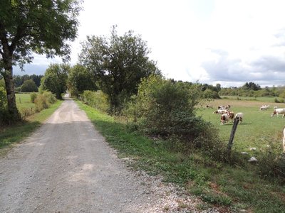 La voie romaine