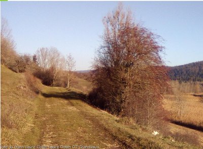 La voie du tram