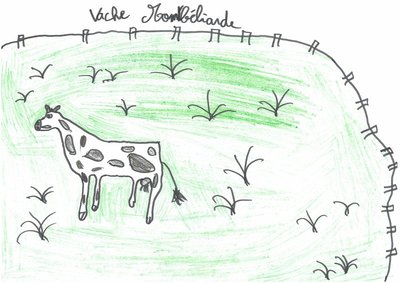 Les vaches et le comté