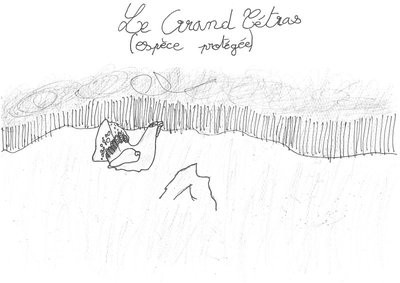 Les espèces protégées