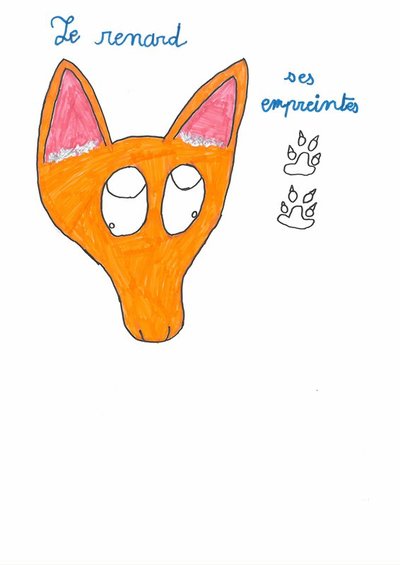 Indices : Renard , lièvre et écureuil .