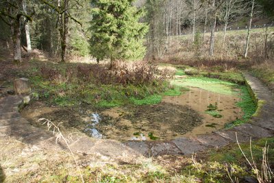 Source de Fontaine Ronde