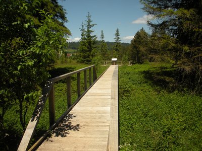 Tourbières de Mouthe