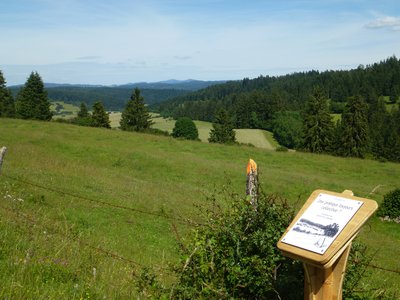 Sentier du berger des vaches