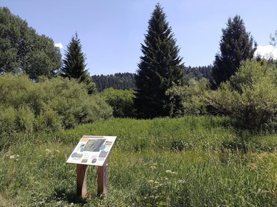 Tourbière du Frambourg-Vallée de la Morte