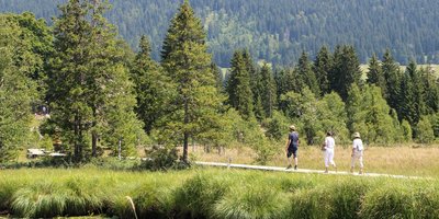 Sentier de la tourbière du lac des Rousses