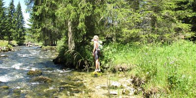 Source du Doubs