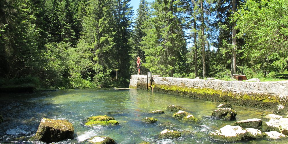 Source du Doubs