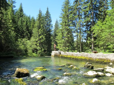 Source du Doubs