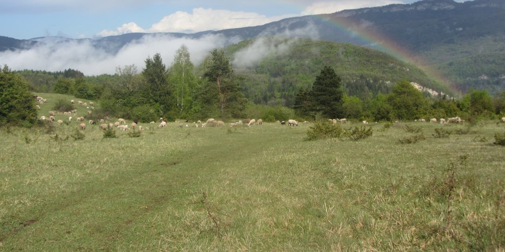La Roche Lézan