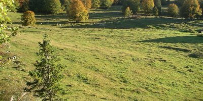 Combes de Lajoux