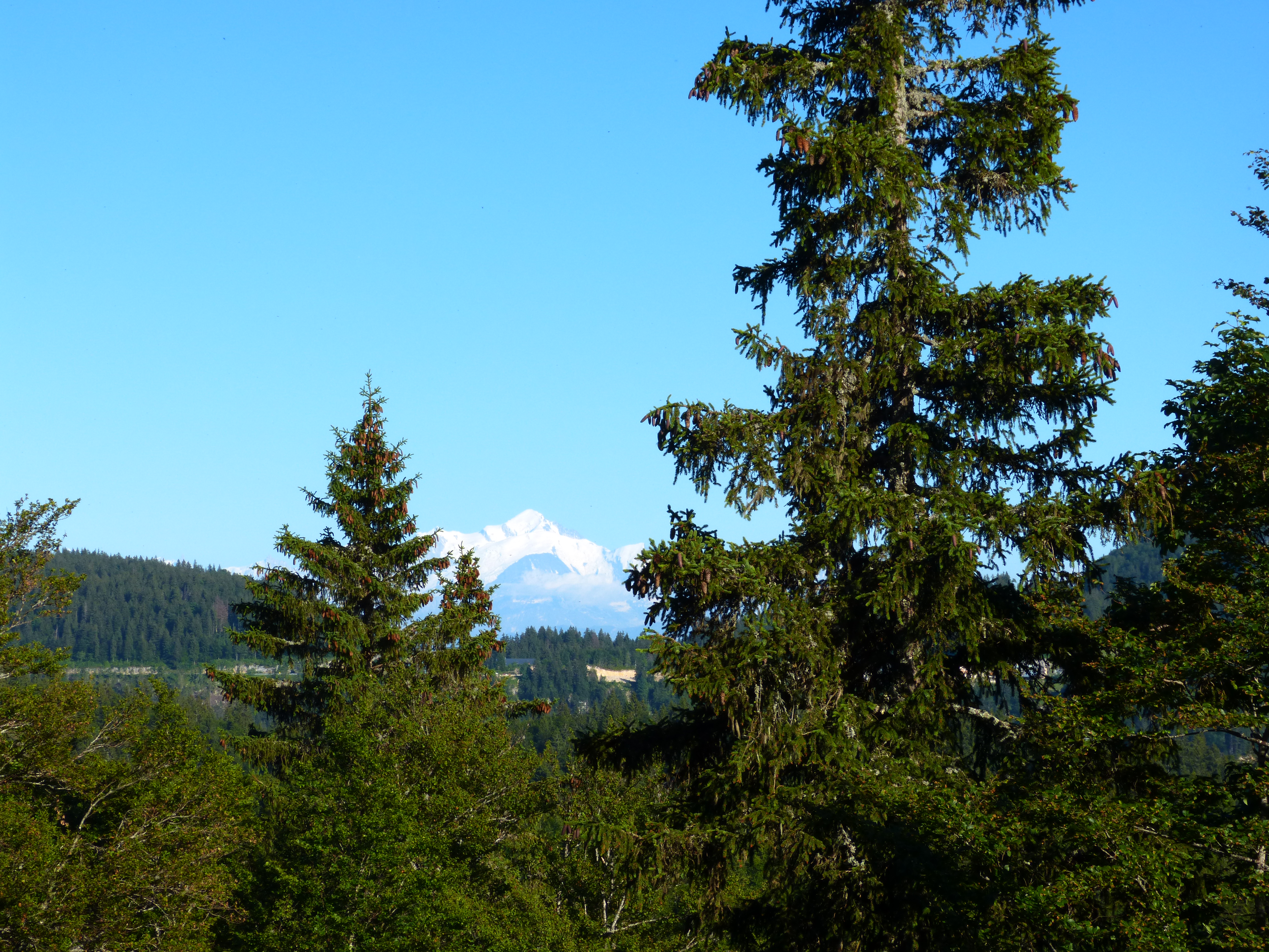 Le Mont Blanc depuis le Crêt de la Vigoureuse