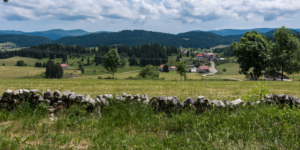 Combes, prairies et pâturage