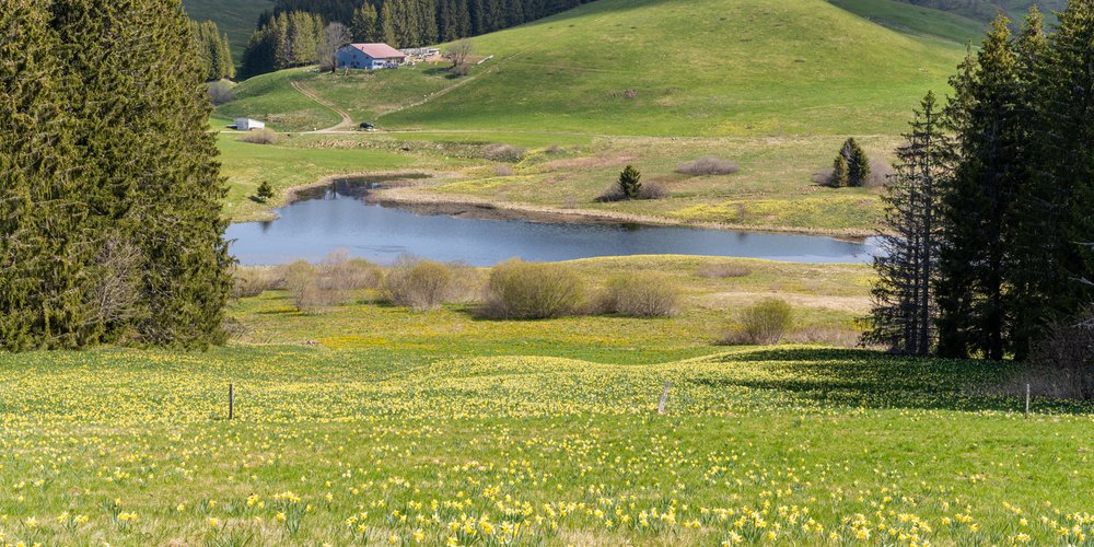 Les Hautes Combes