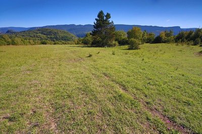 Sur la Roche Lézan